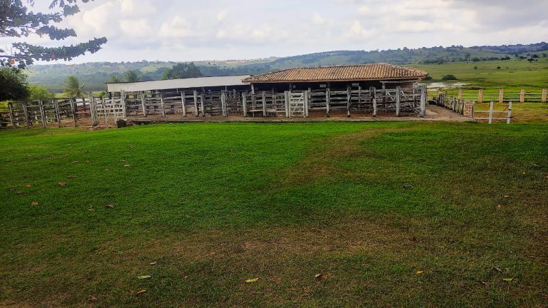 Fazenda em Cruz das Almas Fazenda em Cruz das Almas