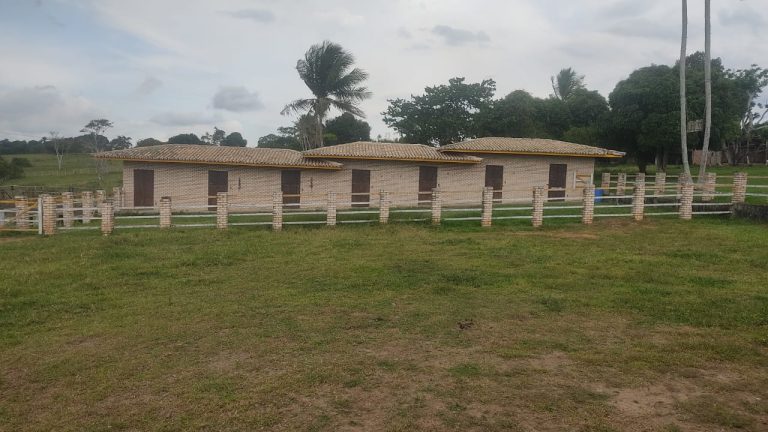 Fazenda em Cruz das Almas Fazenda em Cruz das Almas