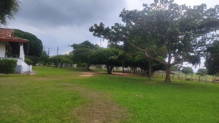 Fazenda em Cruz das Almas Fazenda em Cruz das Almas