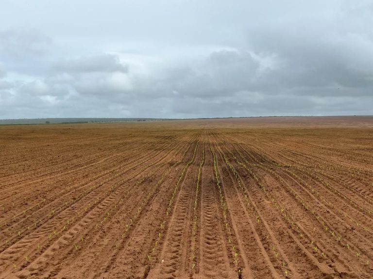 Oportunidade para irrigação Oportunidade para irrigação