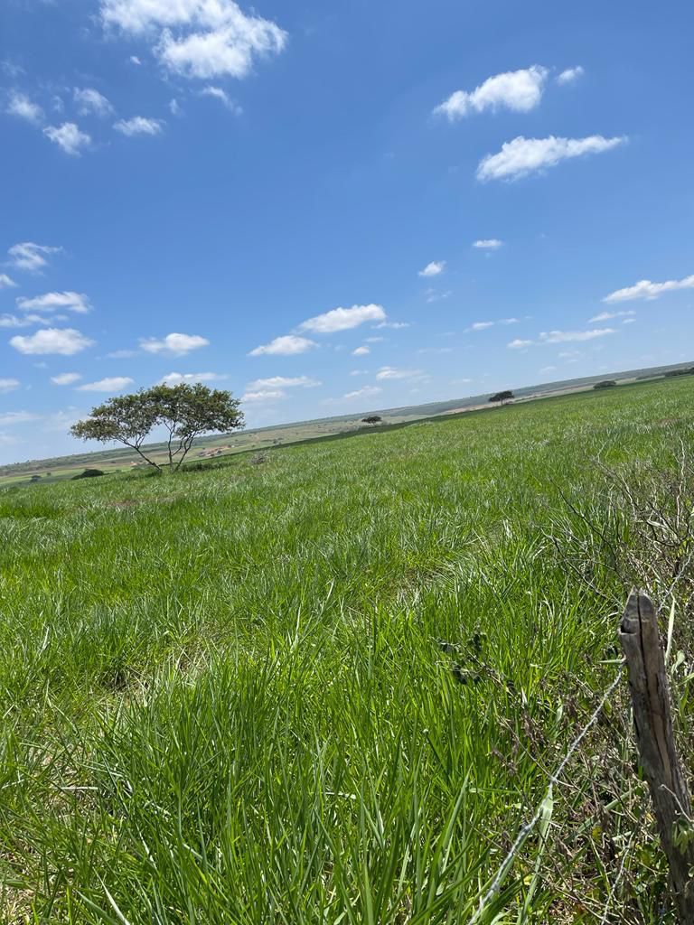Oportunidade para irrigação Oportunidade para irrigação