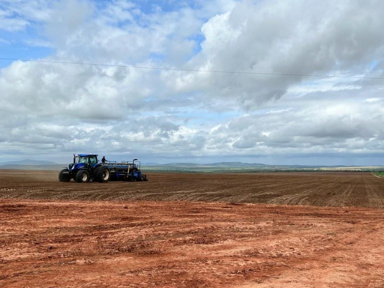 Oportunidade para irrigação Oportunidade para irrigação