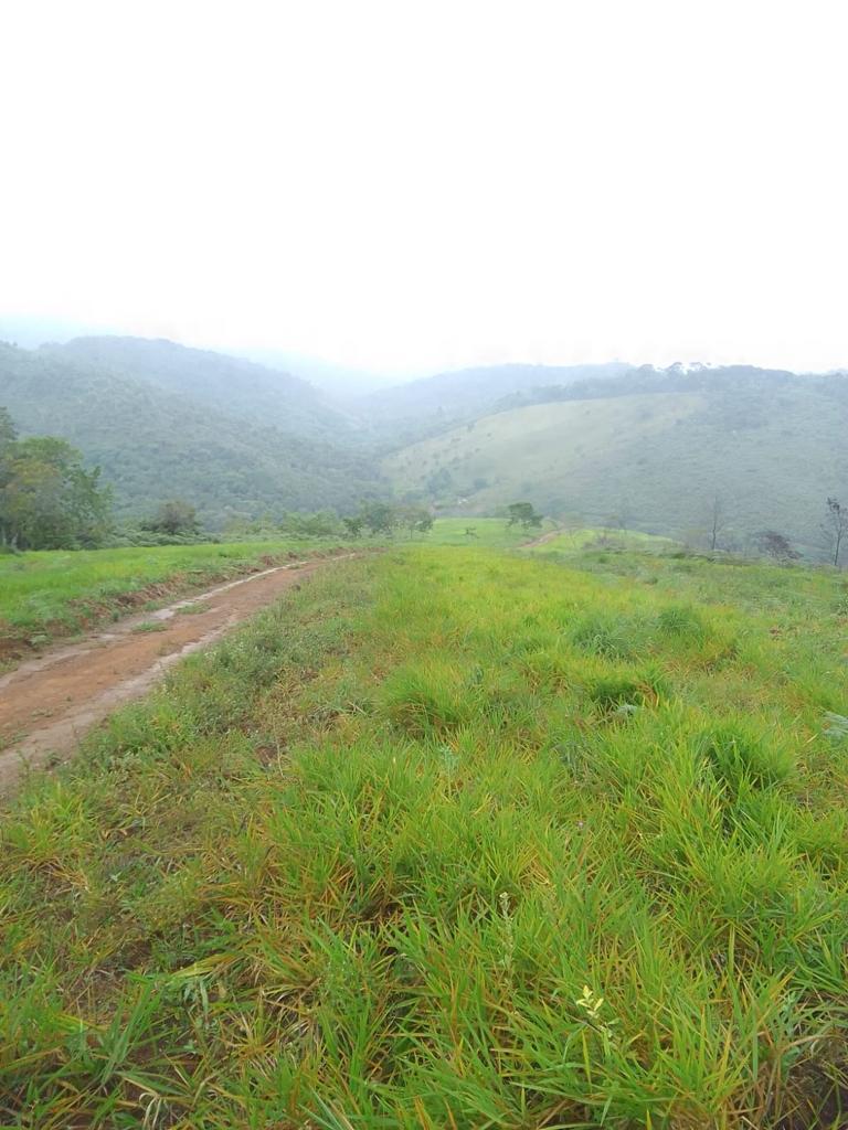 Fazenda em Ubaíra Fazenda em Ubaíra
